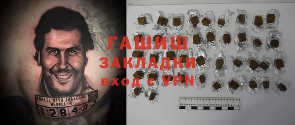 хмурый Алексин