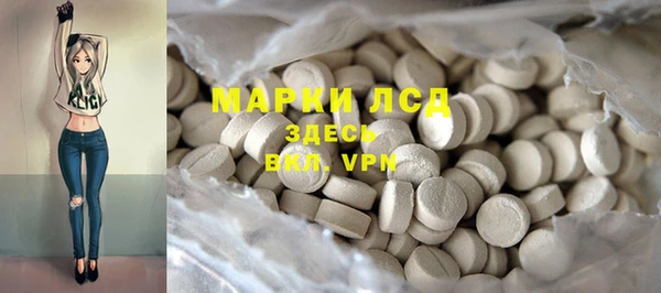 индика Наволоки