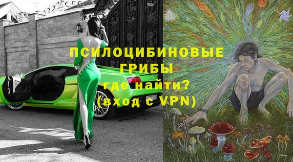 хмурый Алексин