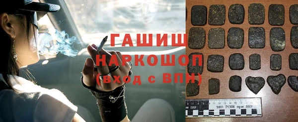 хмурый Алексин