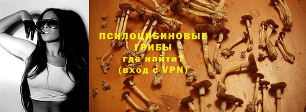 хмурый Алексин