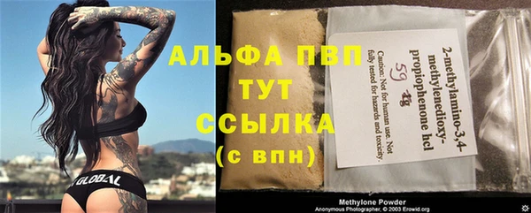 хмурый Алексин