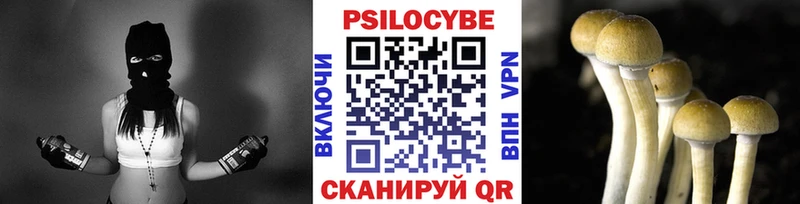 Псилоцибиновые грибы мицелий  даркнет сайт  Омск 