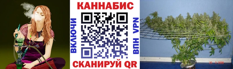 закладка  Омск  Бошки Шишки тримм 